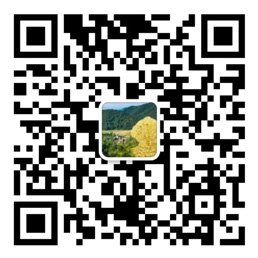 大小单双正规平台官网